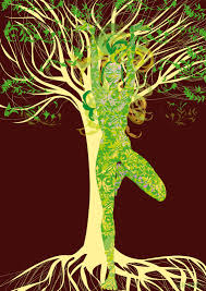yoga green tree