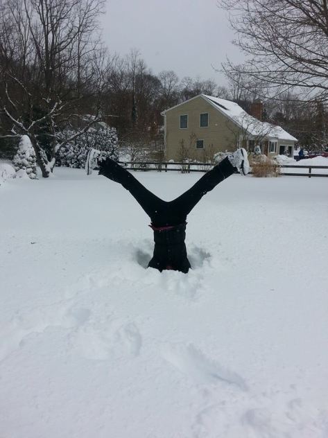 10420085_10204076641732145_786013934187554065_n