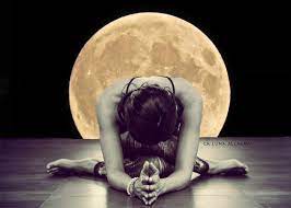 This image has an empty alt attribute; its file name is image-1.jpeg